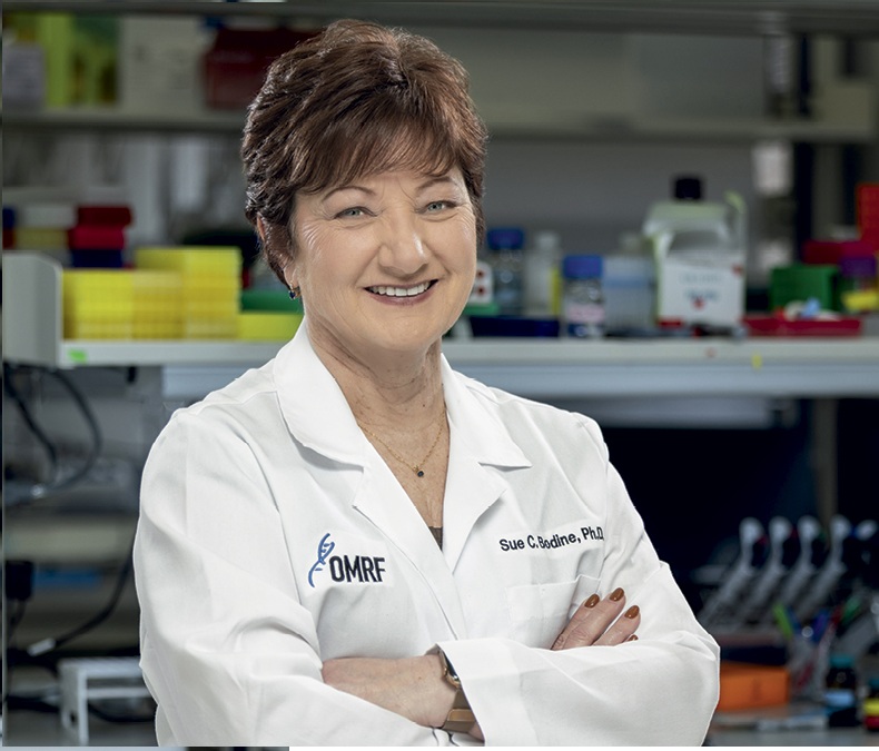 Prof Sue Bodine