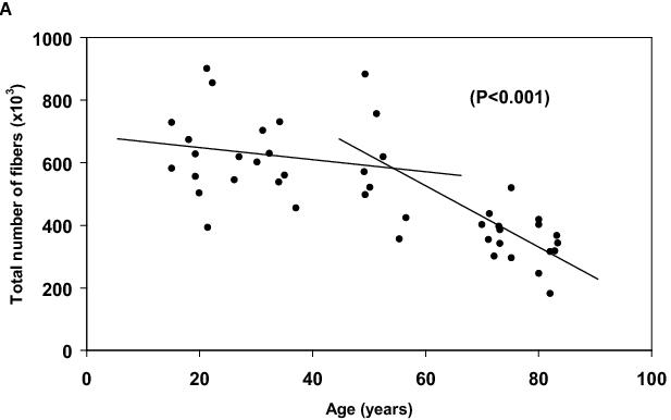 Figure 2a