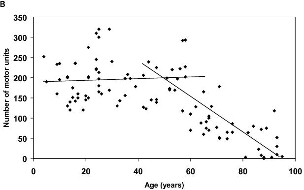 Figure 2b